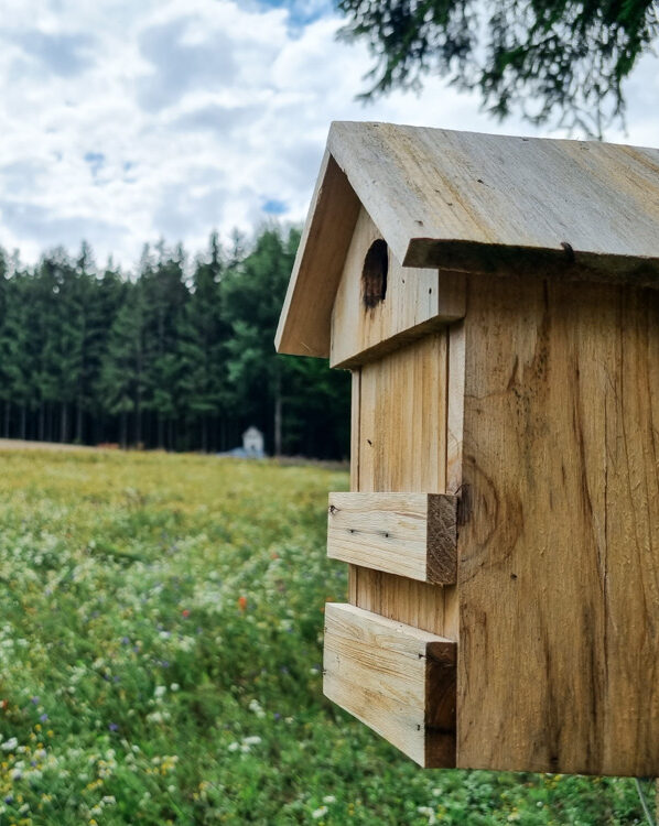 Auf der Blumenwiese in Götzles findet man auch einige Vogelnistkästen.