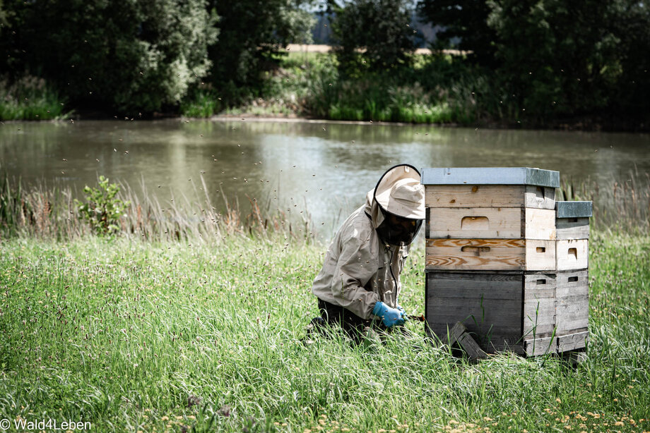 Imker Bernhard Trinko bei den Bienenstöcken der Bienenstockpatenschaft.