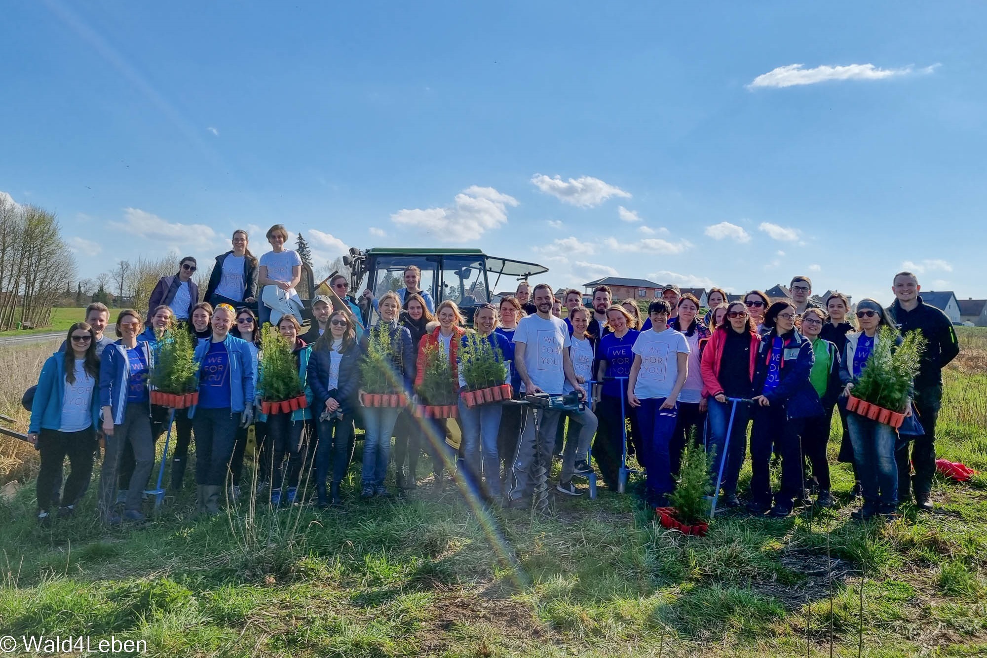 Teambuilding von LeitnerLeitner auf der Aufforstungfläche in Waidhofen/Thaya.