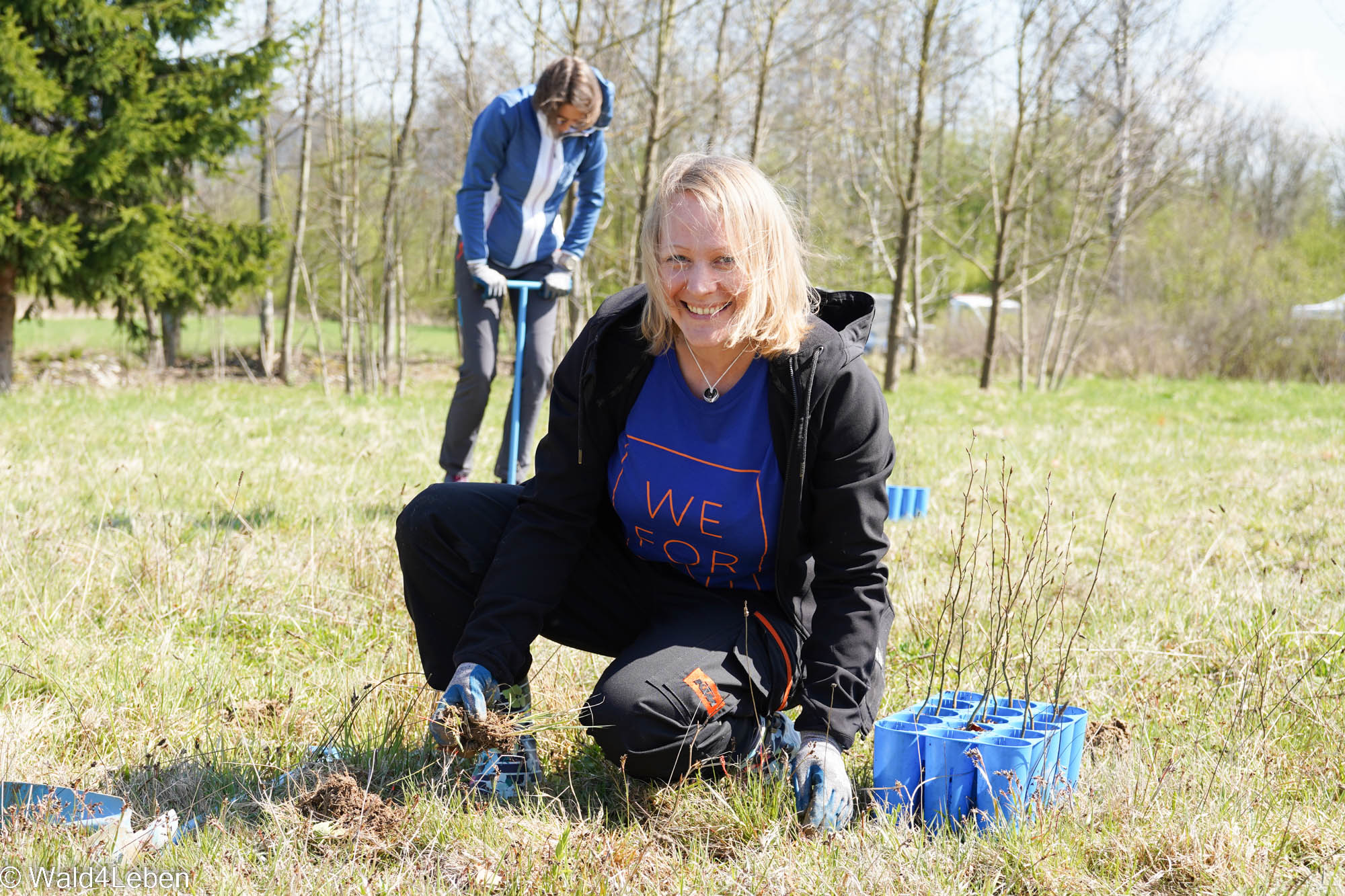 Teambuilding von LeitnerLeitner auf der Aufforstungfläche in Waidhofen/Thaya.