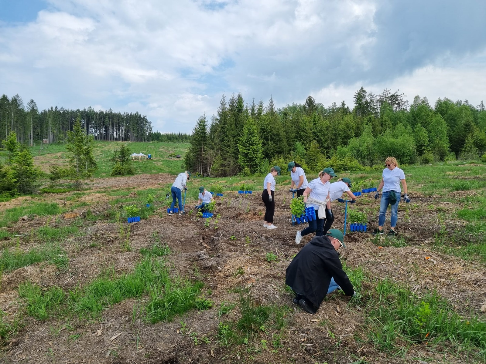 Teambuilding von Clarins Österreich im Frühjahr 2023 auf der Aufforstungsfläche in Hollenbach