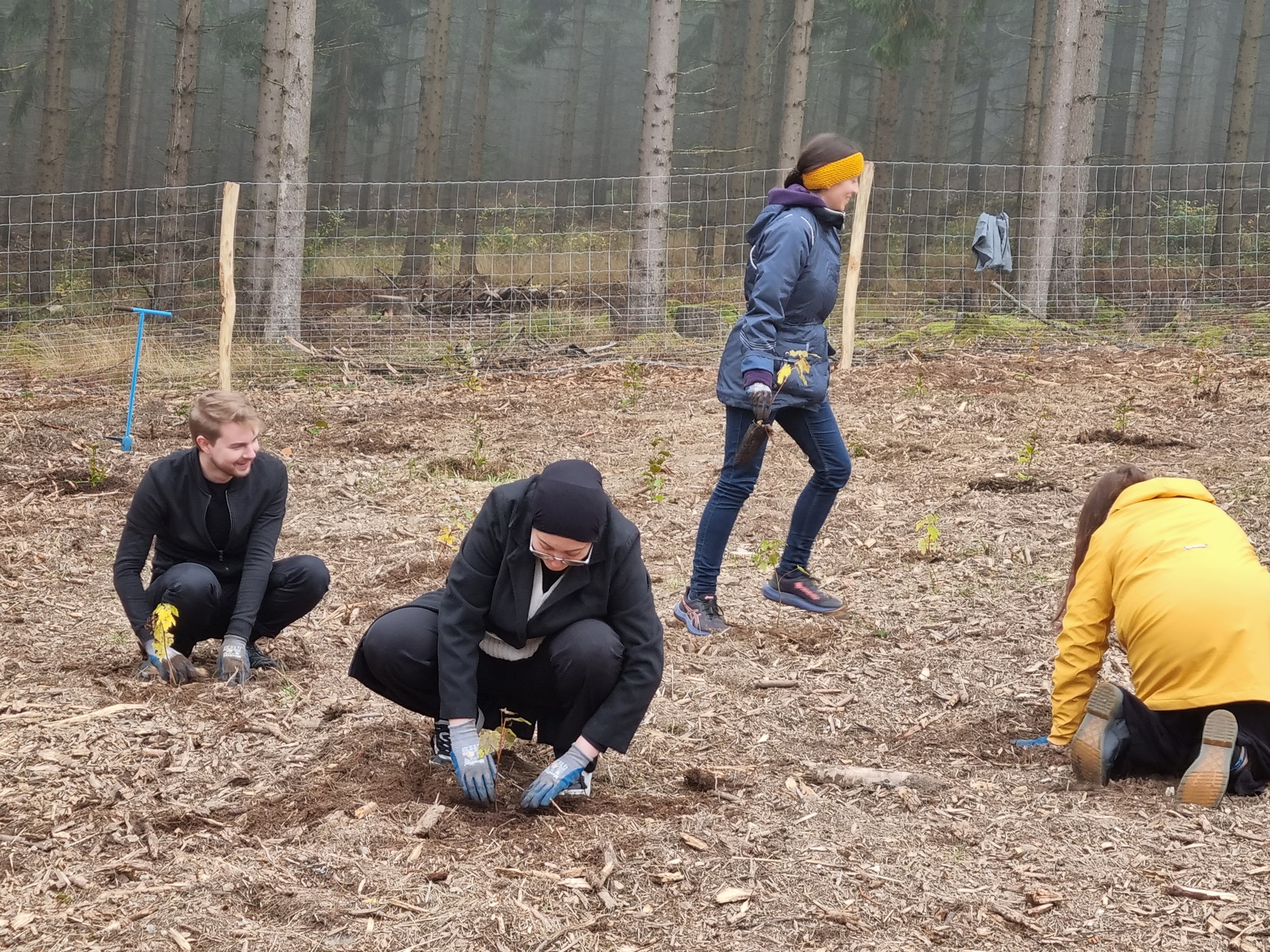 Teambuilding mit Nespresso Österreich im Herbst 2023 auf der Aufforstungsfläche in Loibes