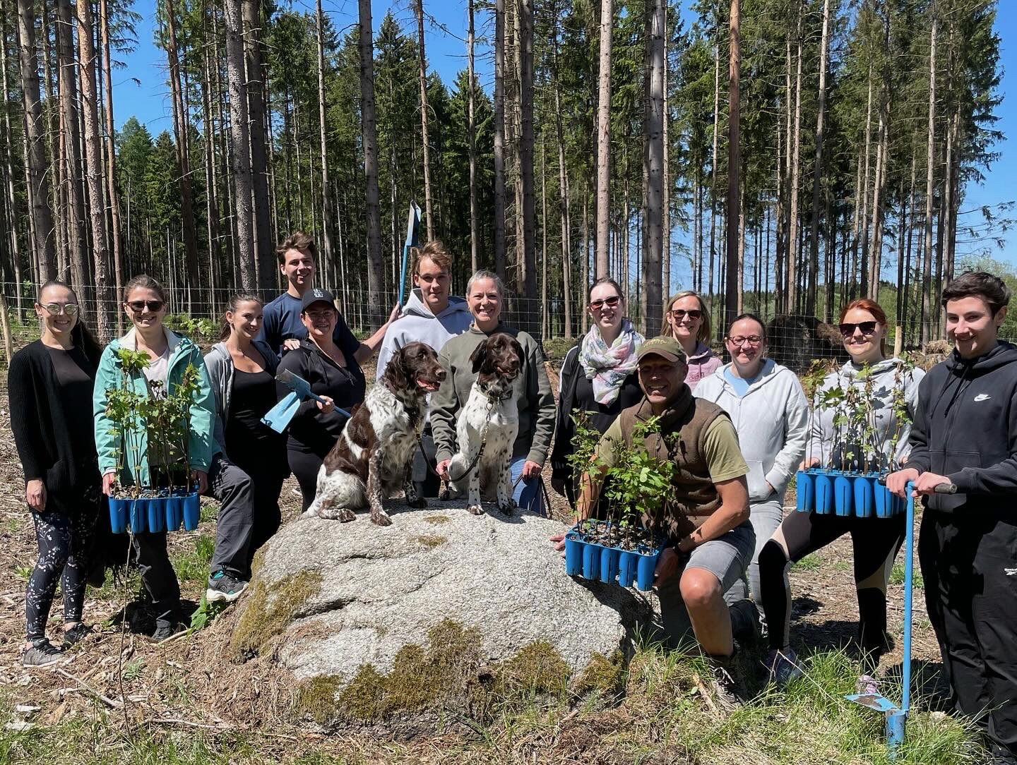 Teambuilding mit Weinberger Biletti Immobilien im Frühjahr 2024 auf der Aufforstungsfläche in Motten.