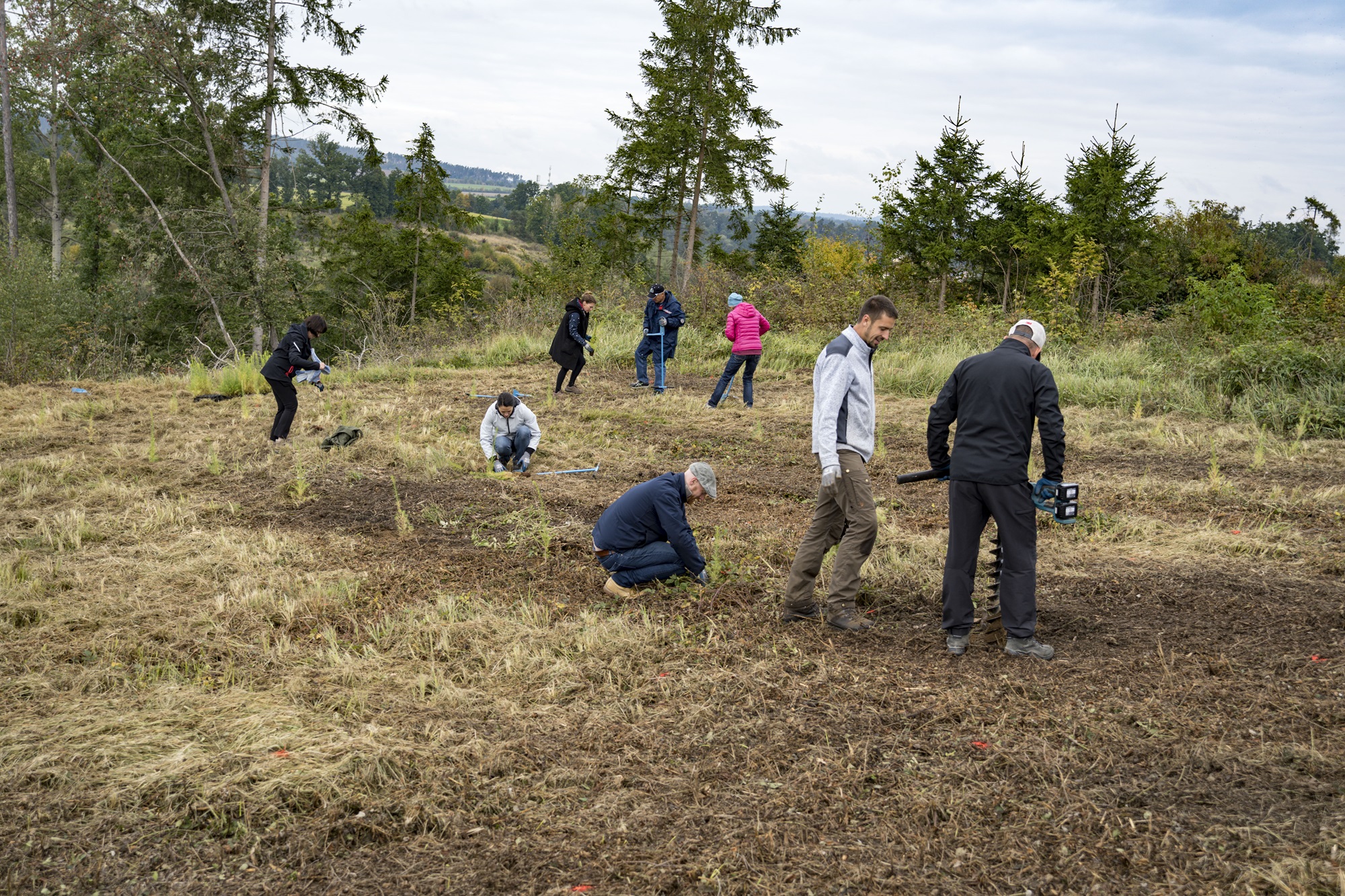 Teambuilding von 3M im Herbst 2022 auf der Aufforstungsfläche in Weikertschlag