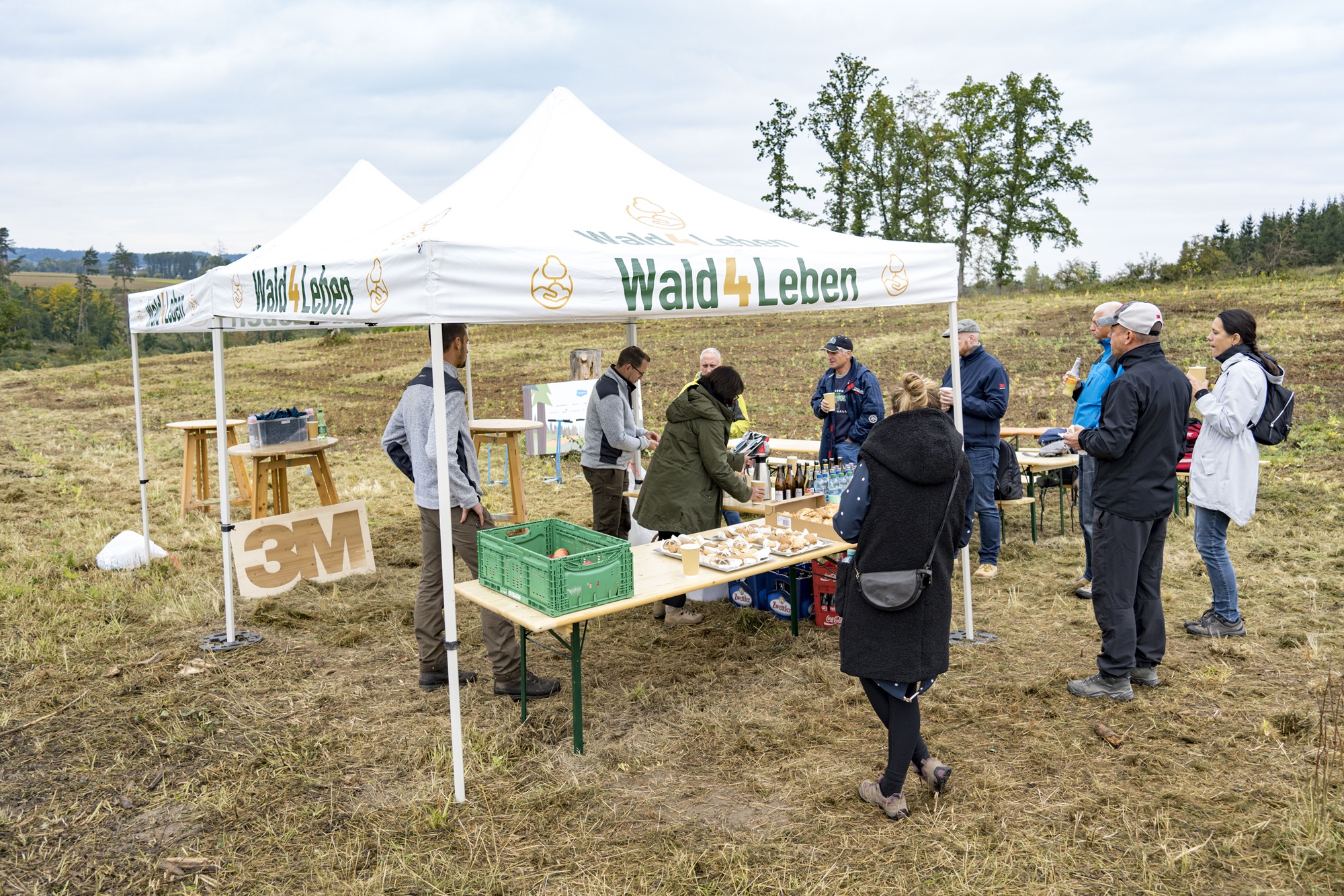 Teambuilding von 3M im Herbst 2022 auf der Aufforstungsfläche in Weikertschlag