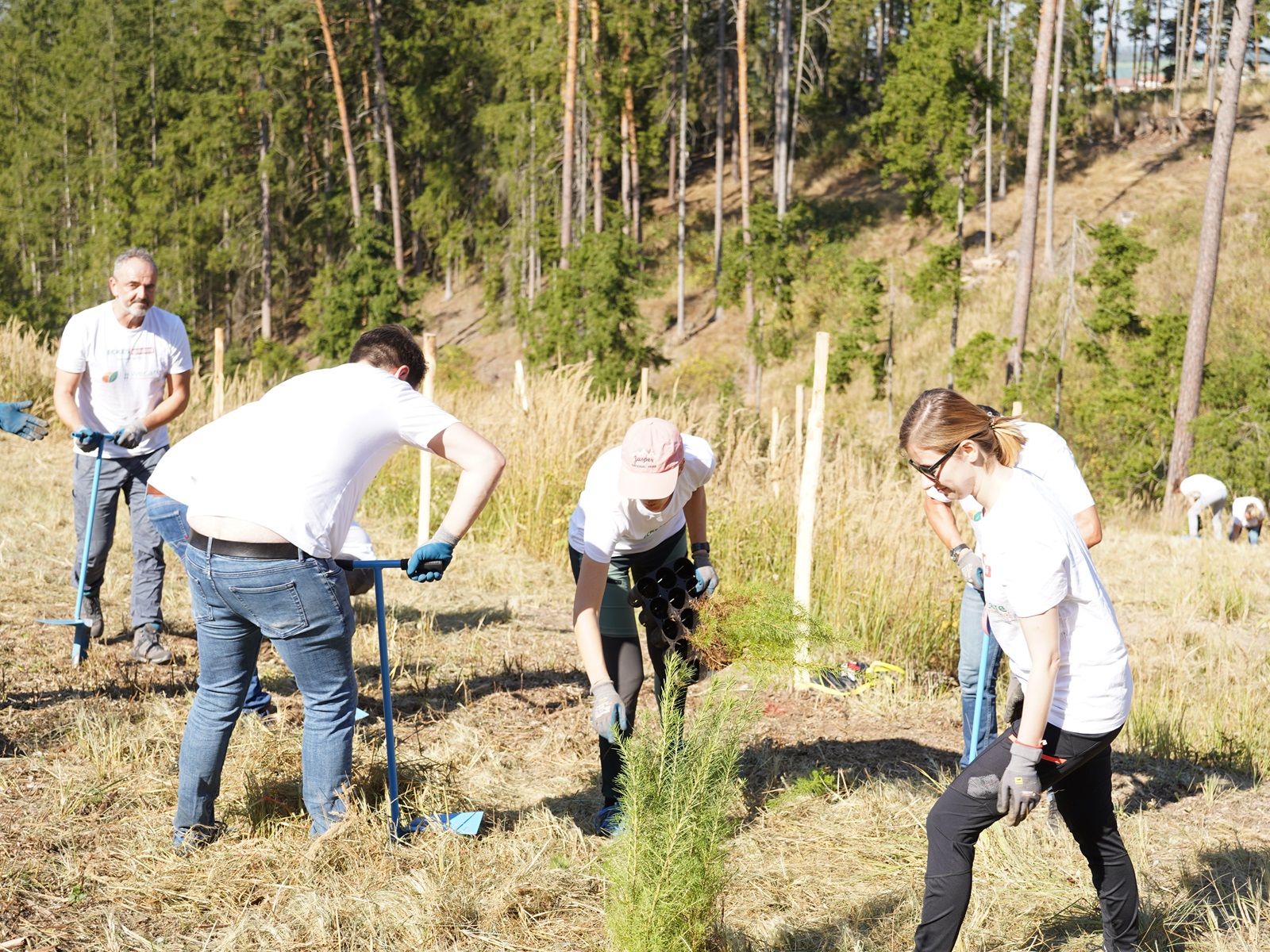 Teambuilding im Herbst 2023 von Eckes Granini Austria auf der Aufforstungsfläche in Waldhers.