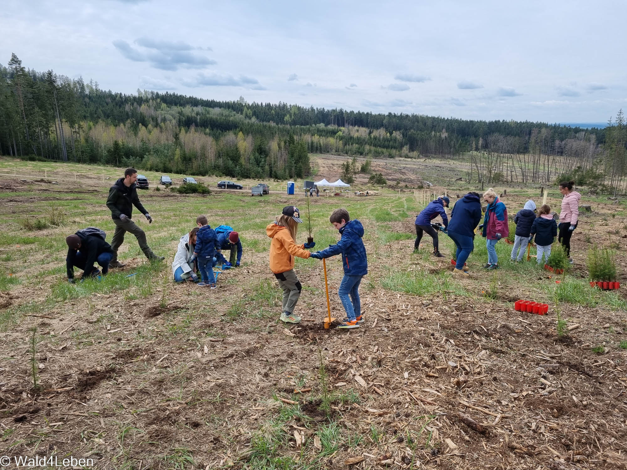 Teambuilding mit heinzelsales im Frühjahr 2023 auf der Aufforstungsfläche in Hollenbach