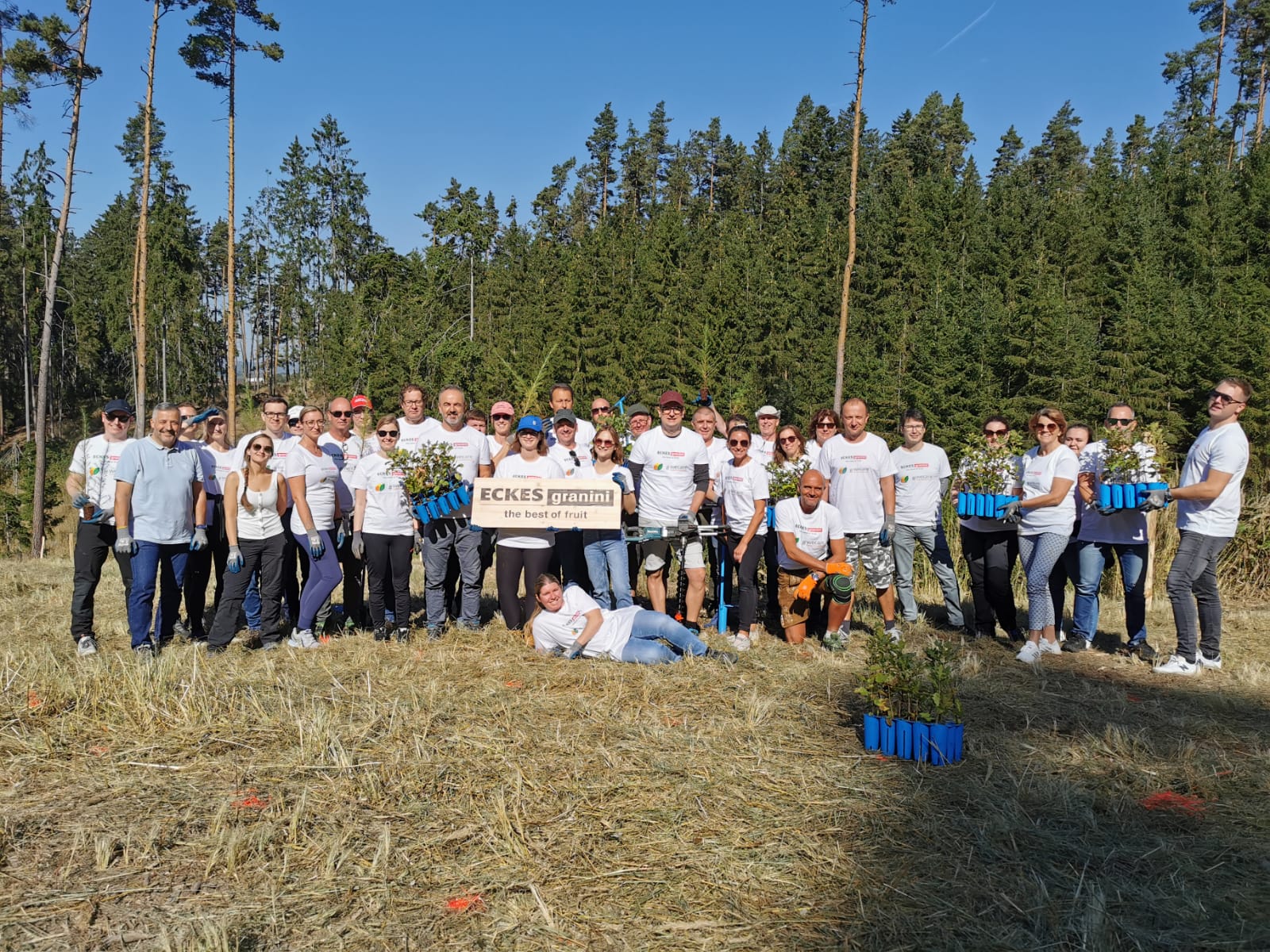 Teambuilding im Herbst 2023 von Eckes Granini Austria auf der Aufforstungsfläche in Waldhers.