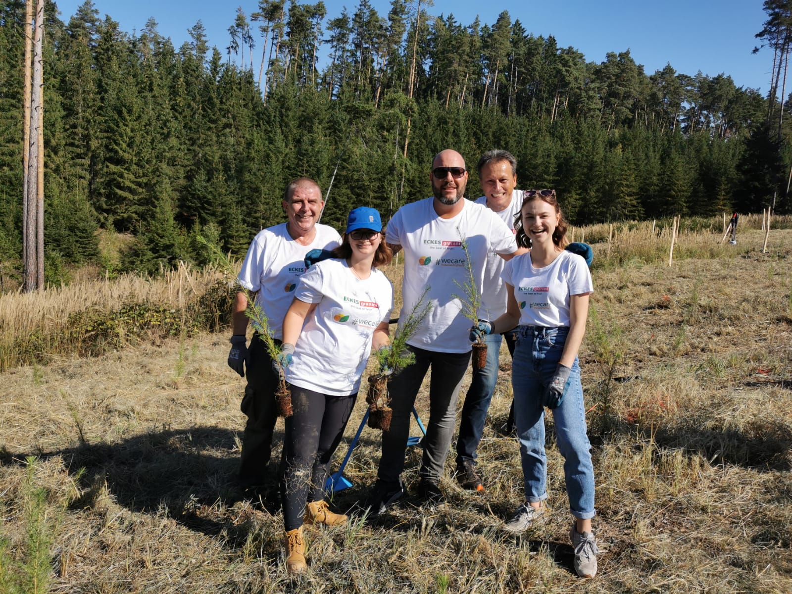 Teambuilding im Herbst 2023 von Eckes Granini Austria auf der Aufforstungsfläche in Waldhers.