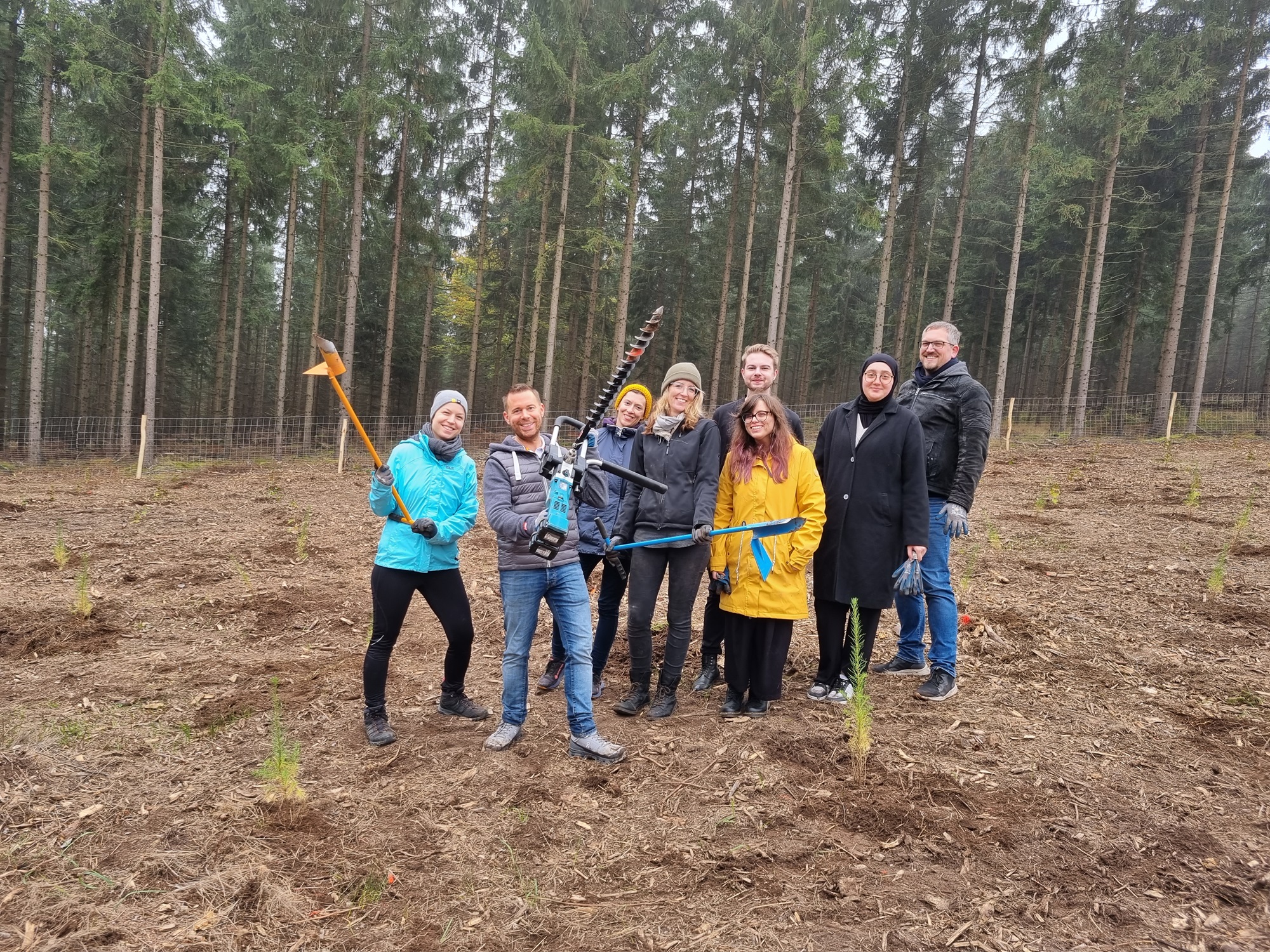 Teambuilding mit Nespresso Österreich im Herbst 2023 auf der Aufforstungsfläche in Loibes