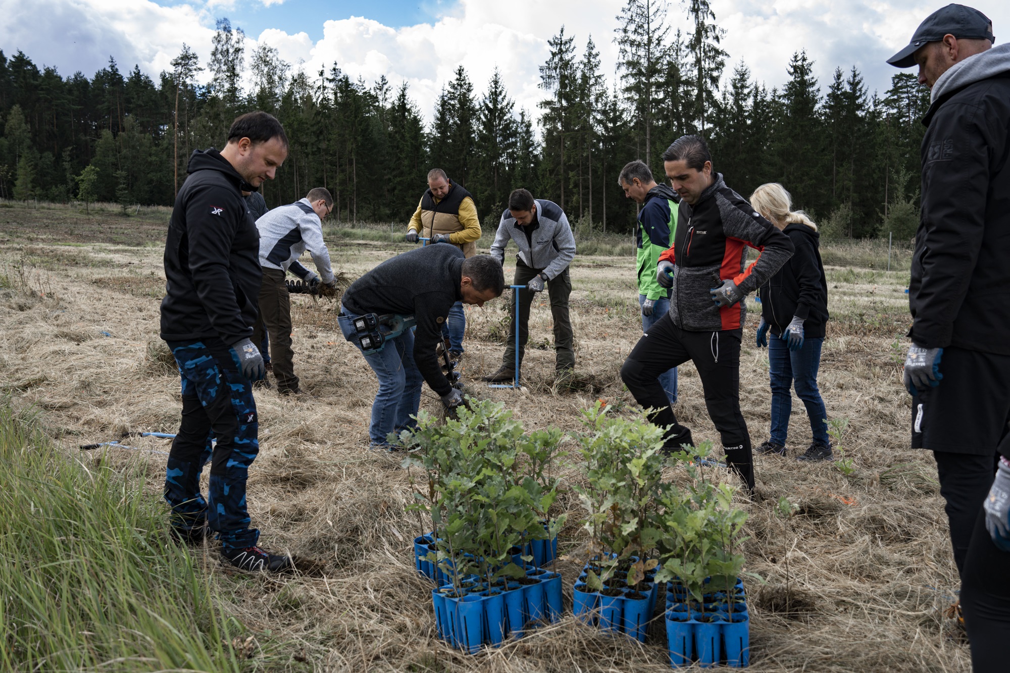 Teambuilding von VNT Automotive auf der Aufforstungsfläche in Neuriegers.